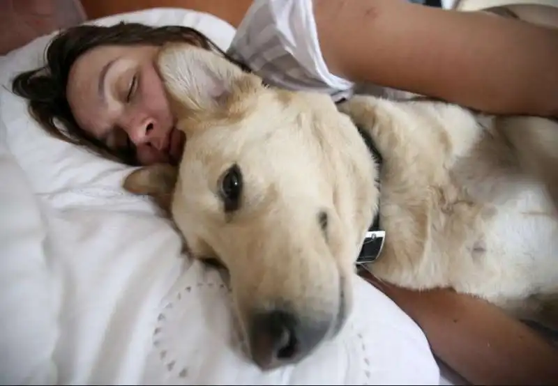 le donne preferiscono dormire con i cani 5