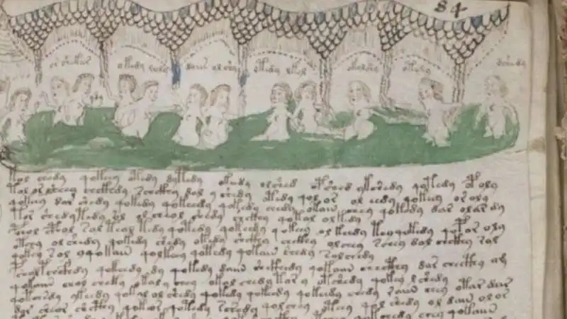 manoscritto voynich 1