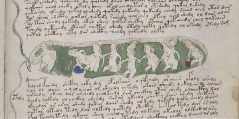 manoscritto voynich 2