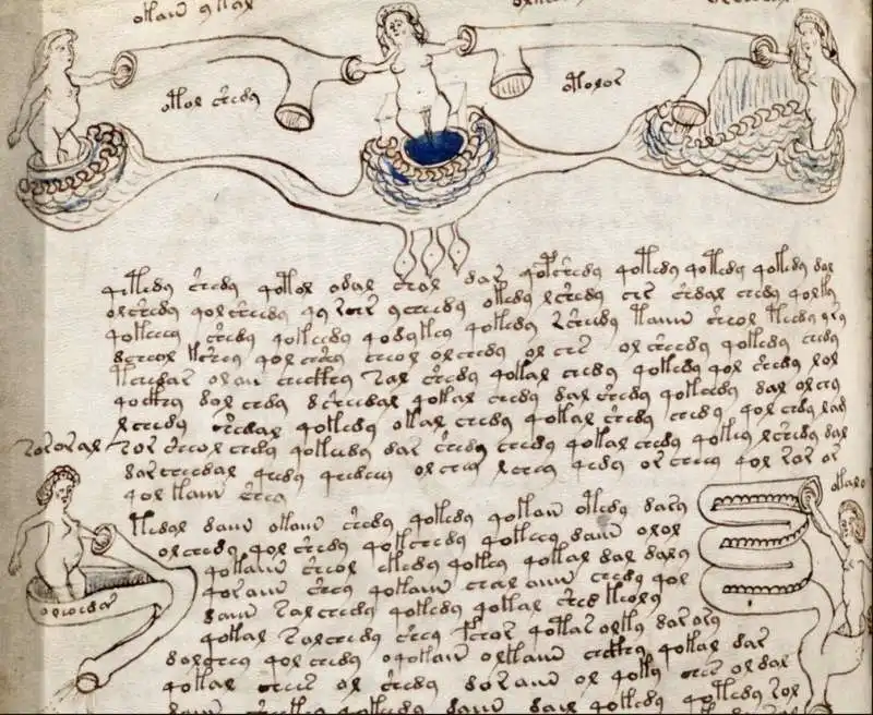 manoscritto voynich 5