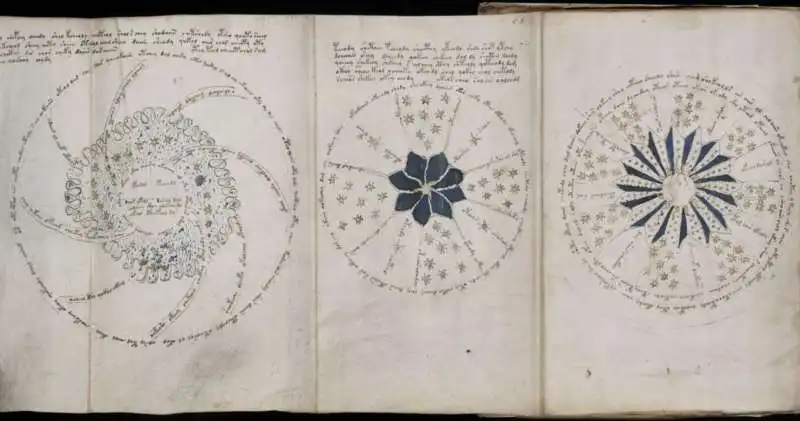 manoscritto voynich 7