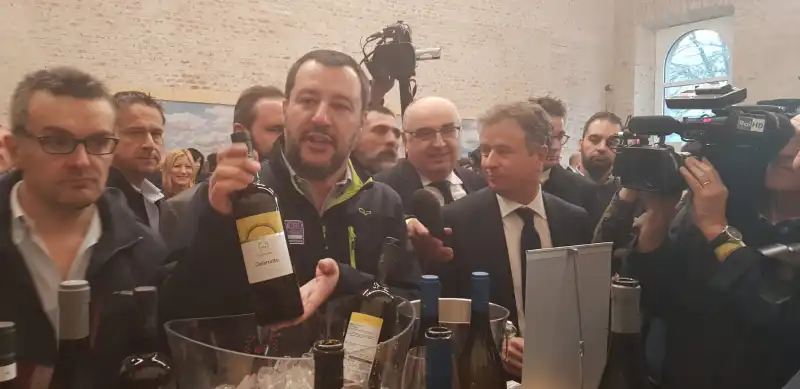 SALVINI VIVITE