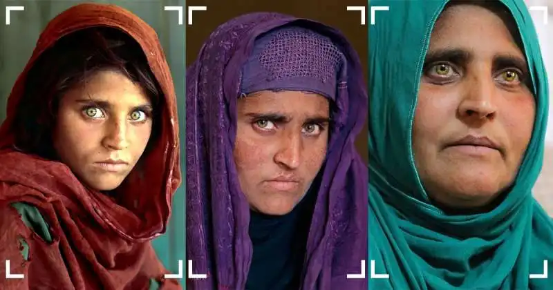 sharbat gula