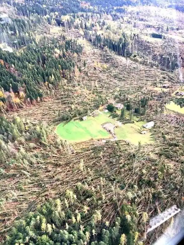 veneto alberi abbattuti