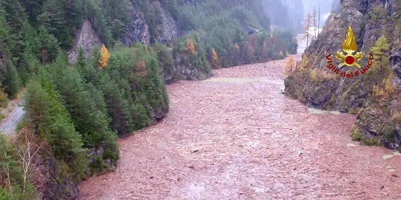 veneto un fiume di abeti in provincia di belluno