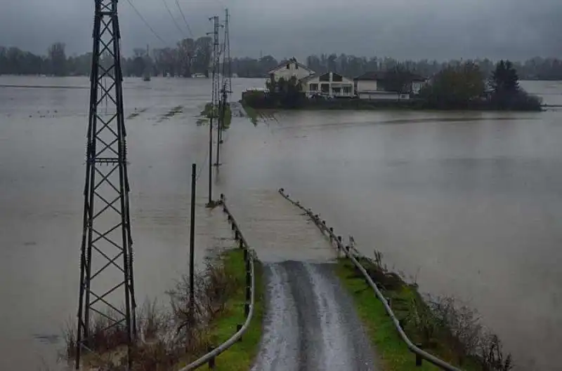 campagna allagata dal fiume bormida   alessandria