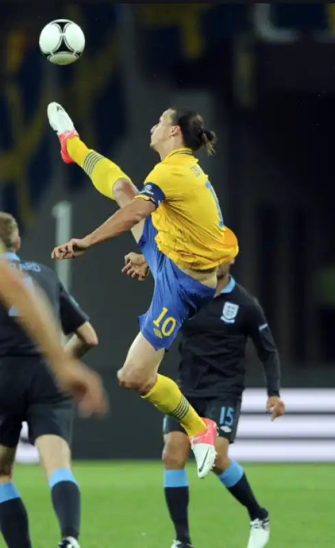 ibra