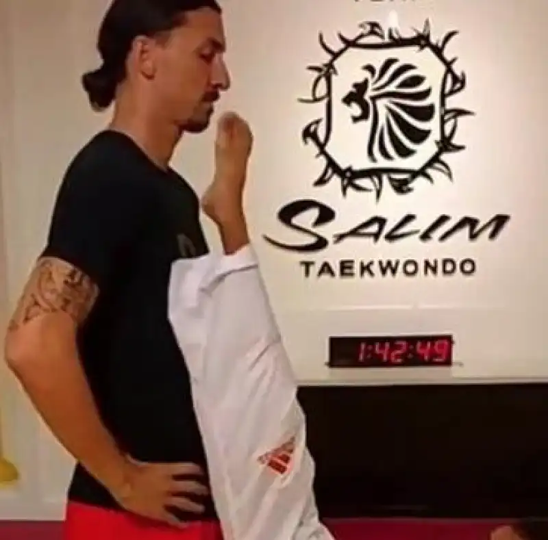 ibra taekwondo