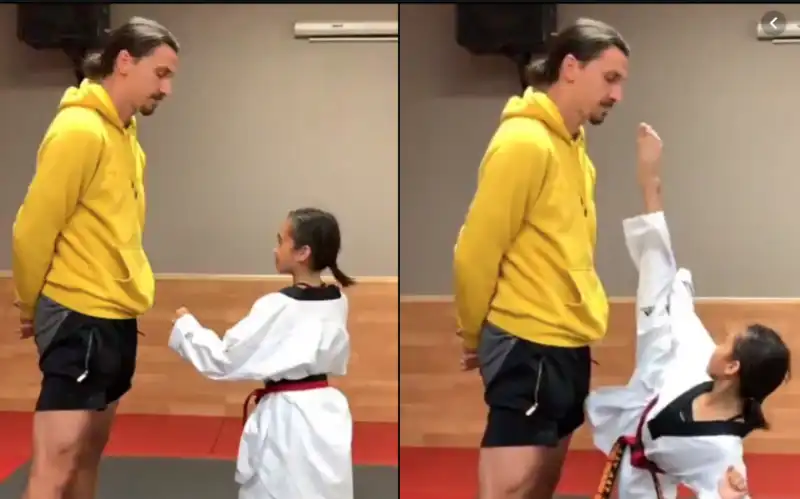 ibra taekwondo