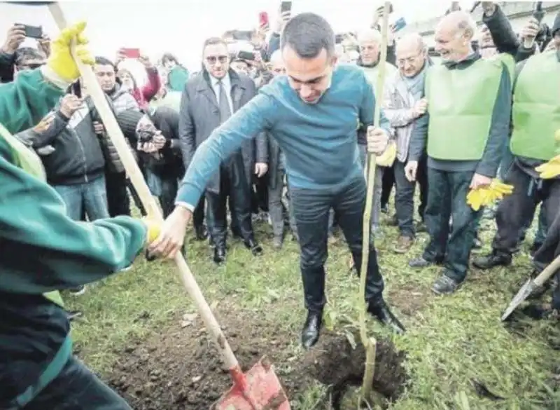 LUIGI DI MAIO CON LA VANGA PIANTA UN ALBERTO A CASORIA