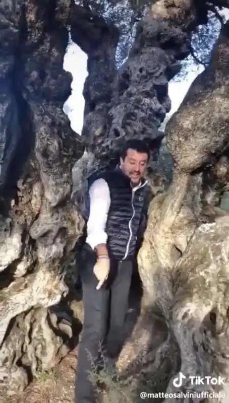 matteo salvini su tiktok 2