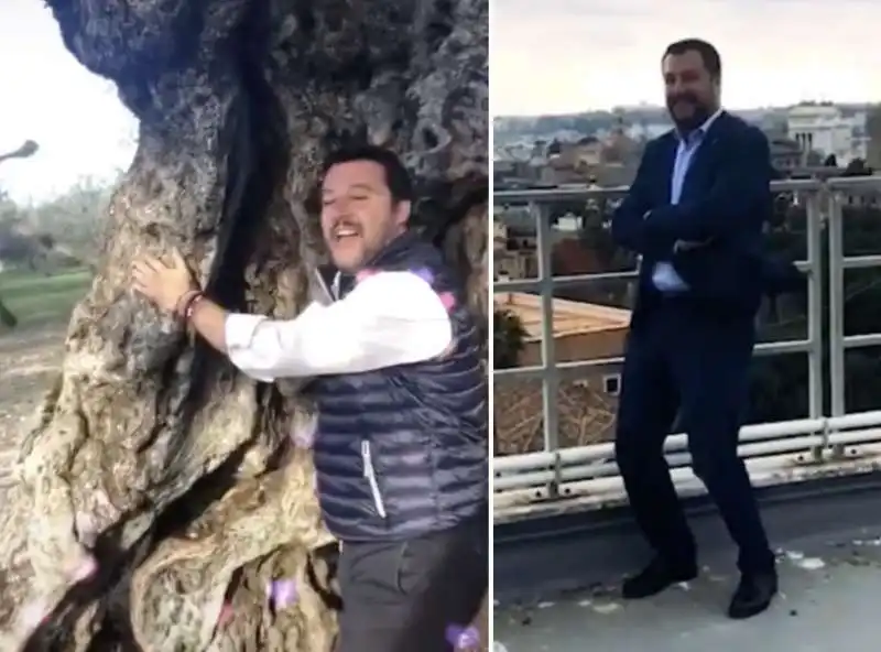 matteo salvini su tiktok 6