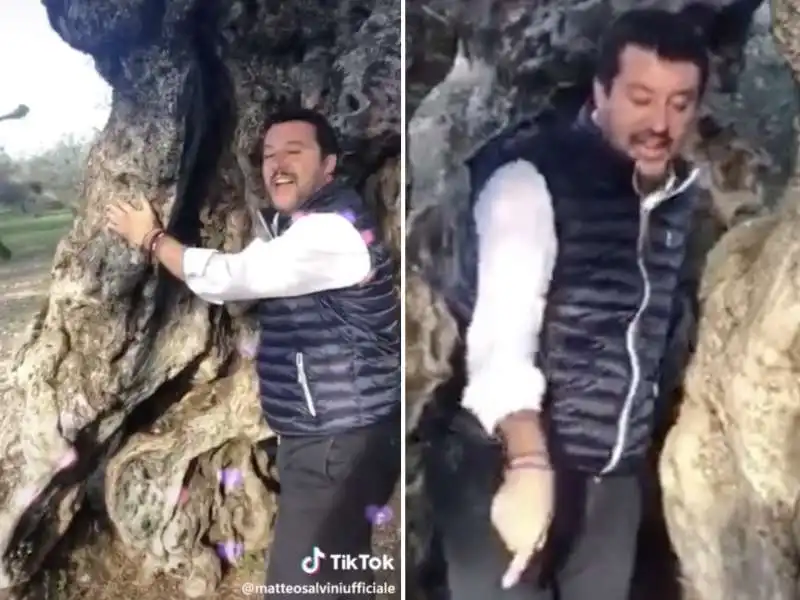 matteo salvini su tiktok 7