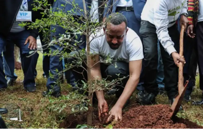 abiy ahmed ali pianta alberi 