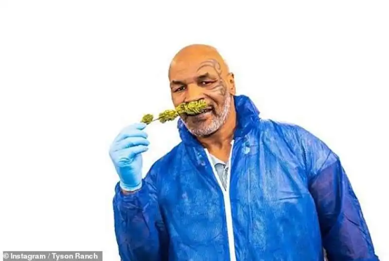 mike tyson  1