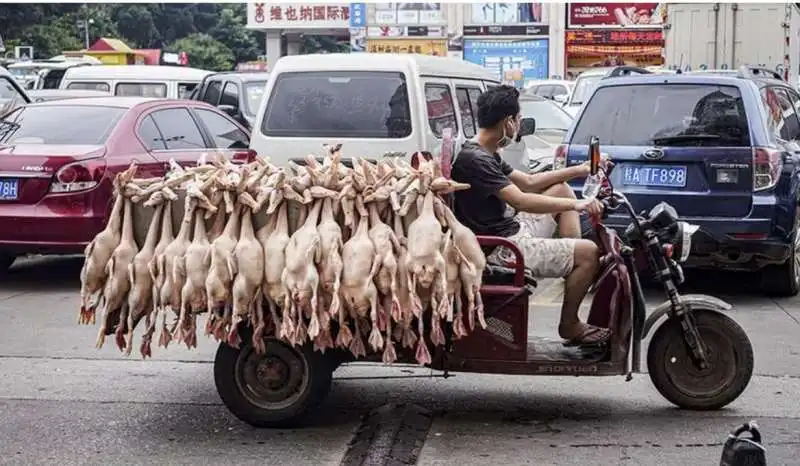 wet market in cina