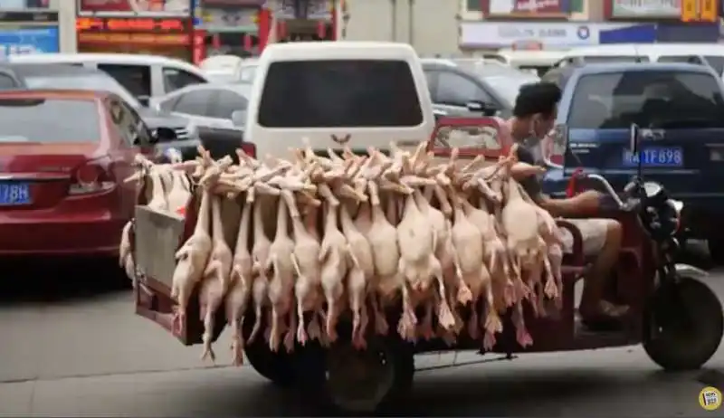 wet market in cina11