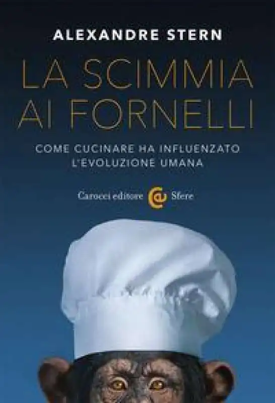 la scimmia ai fornelli 