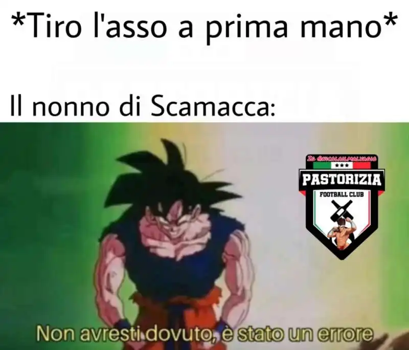 meme su scamacca 9