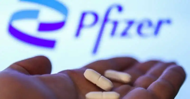 pfizer 6