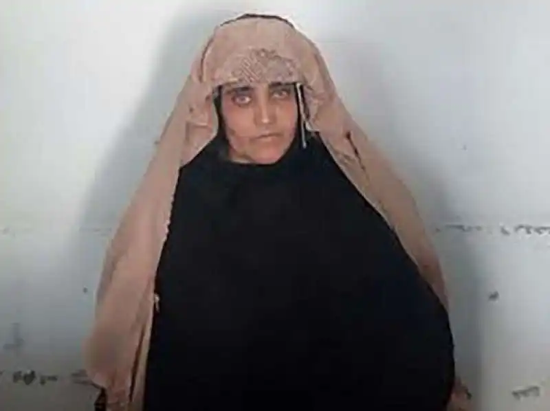 sharbat gula 10