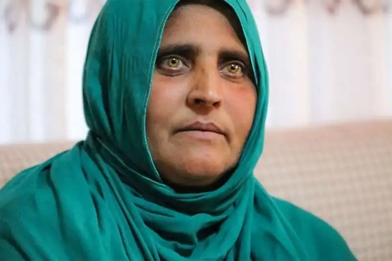 sharbat gula 3