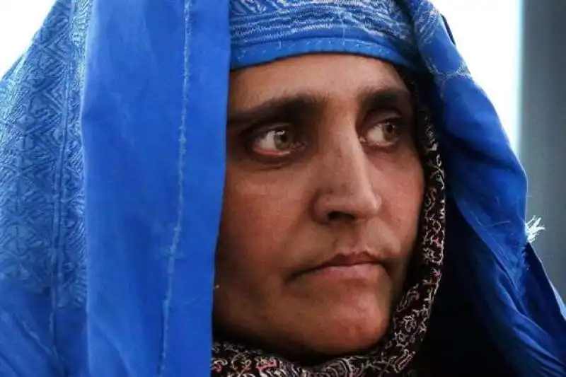 sharbat gula 6