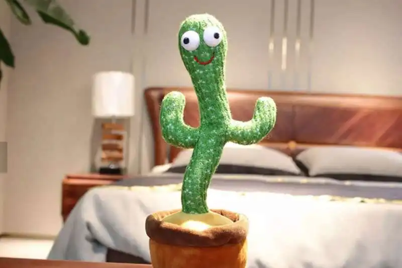 The Dancing Cactus Boy