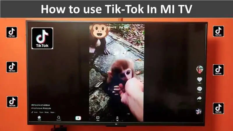 tiktok in televisione 10