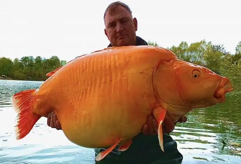 andy hackett con il pesce pescato 3