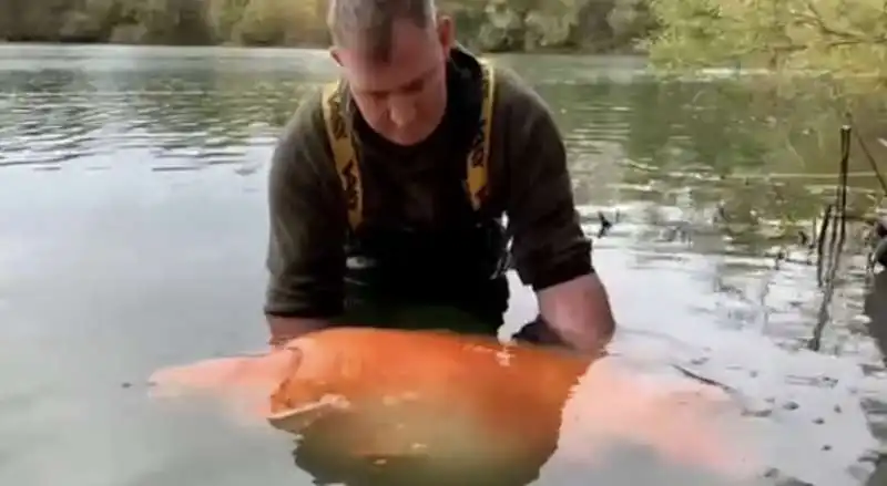 andy hackett con il pesce pescato 4