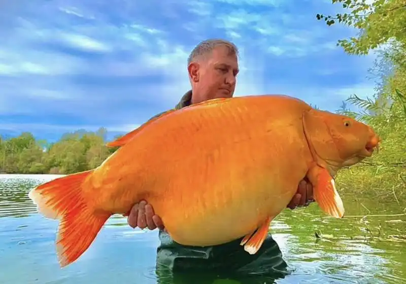 andy hackett con il pesce pescato 5