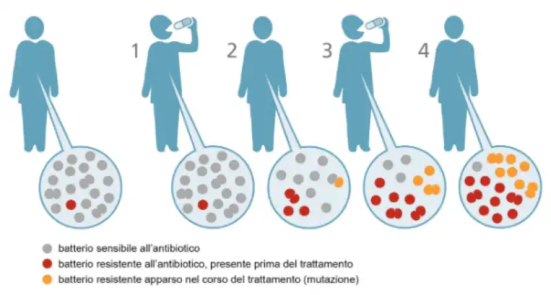 batterio antibiotico resistente 1