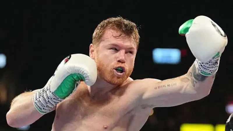 canelo alvarez 2