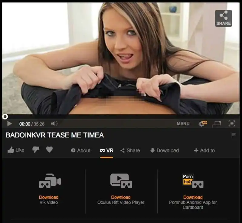 pornhub (1)