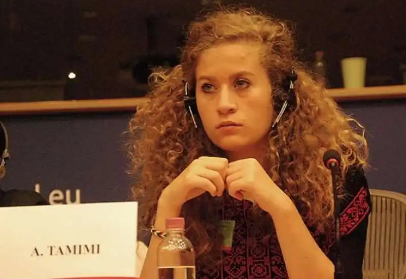 AHED TAMIMI