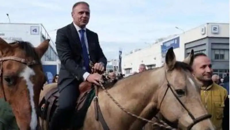 francesco lollobrigida - fieracavalli verona