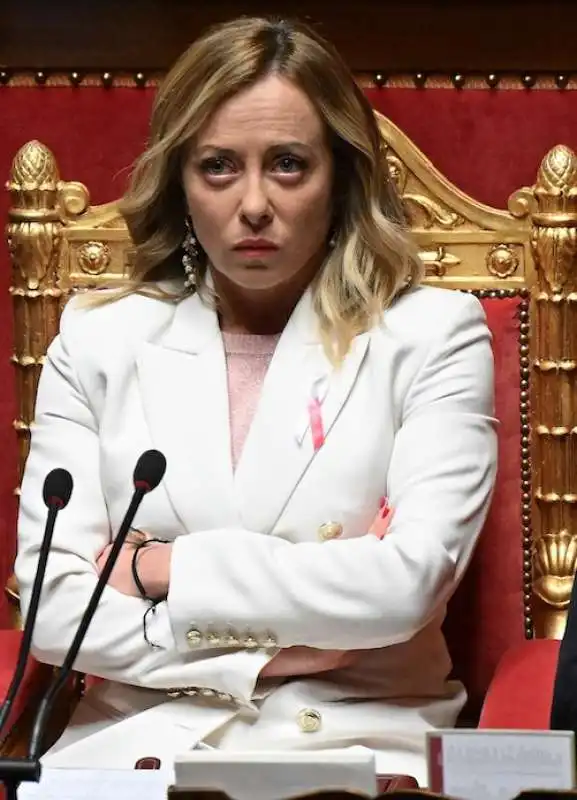 giorgia meloni al senato 