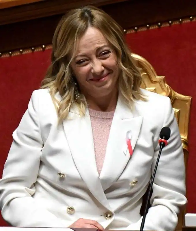 giorgia meloni al senato  