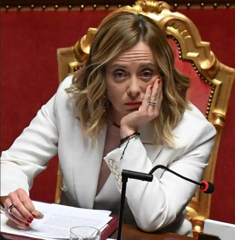 giorgia meloni al senato  2