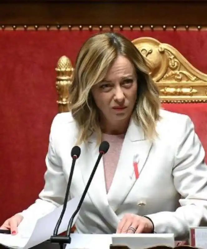 GIORGIA MELONI - QUESTION TIME SENATO