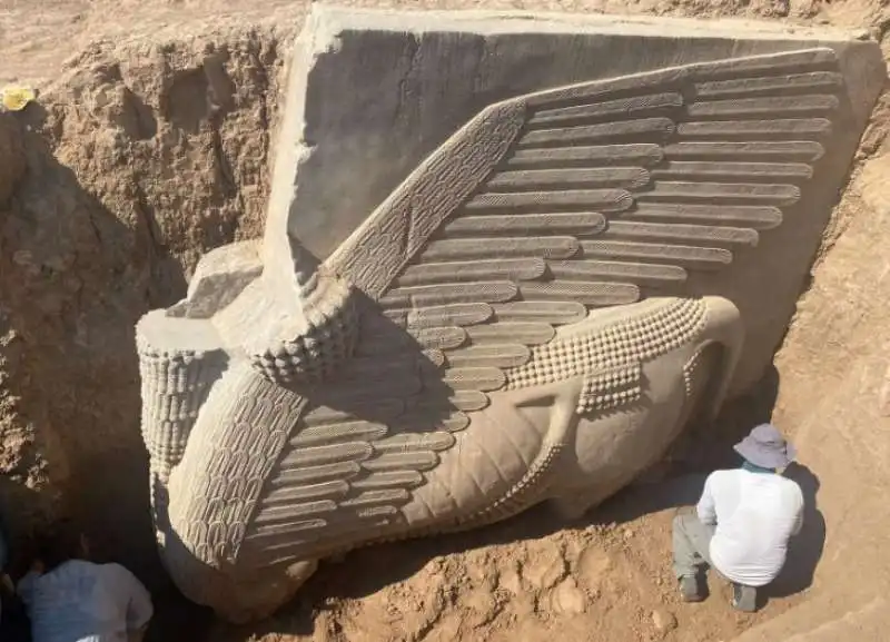 lamassu scoperto in iraq 5