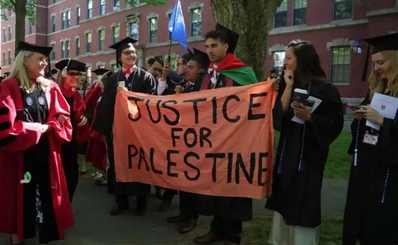 studenti di harvard pro palestina 3