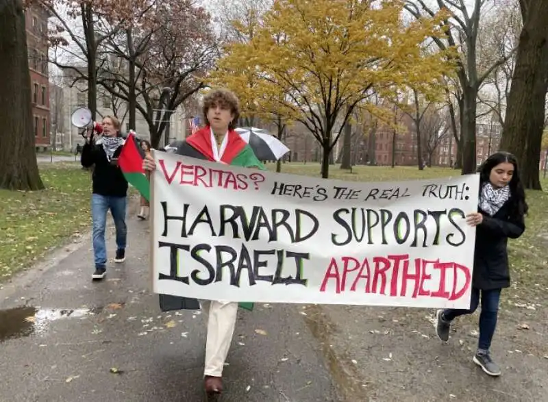 studenti di harvard pro palestina 5