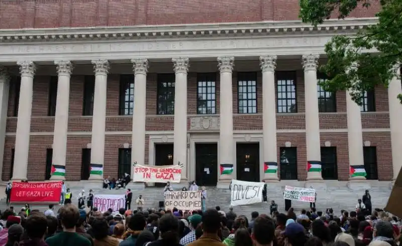 studenti di harvard pro palestina 6