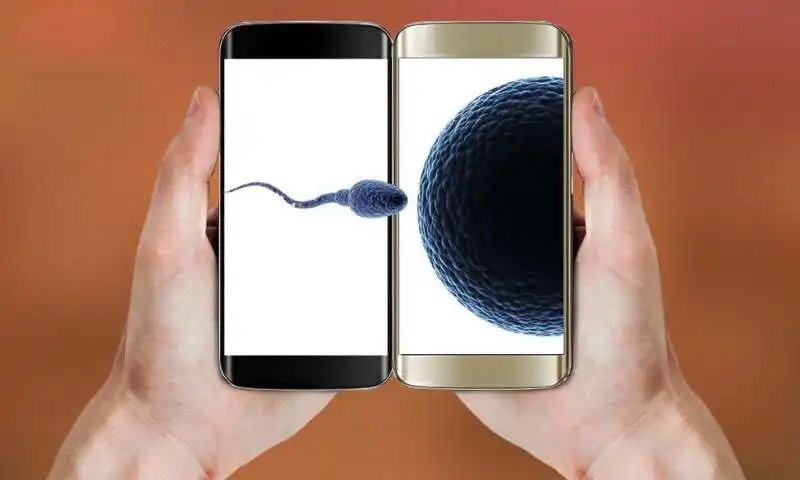 uso del cellulare e qualita dello sperma  9