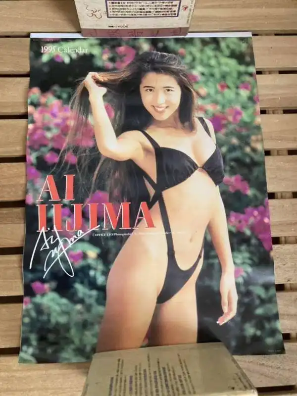 ai iijima 1995 calendar