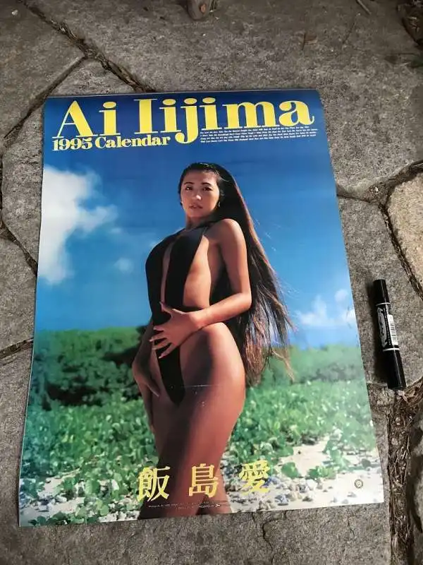 ai iijima calendar 1995