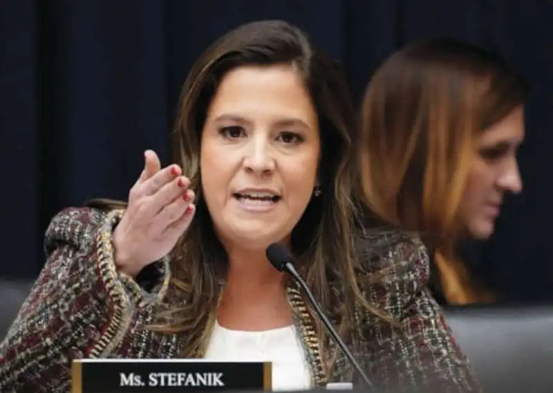 elise stefanik  