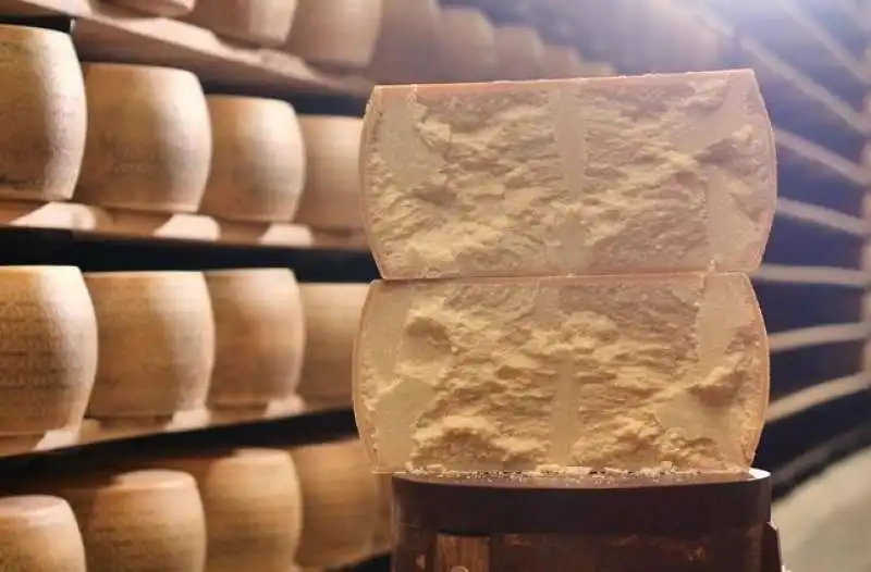 forme di parmigiano